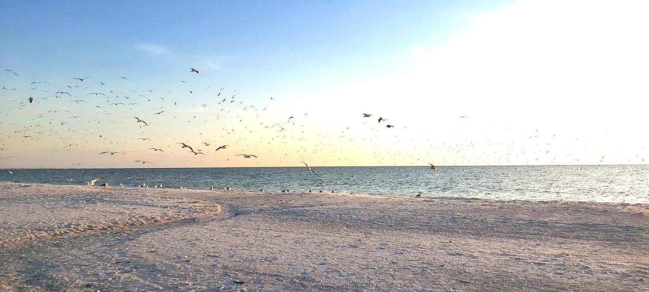 Sunset Vistas 603W Villa St. Pete Beach Buitenkant foto
